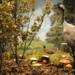 Meteora: Natural History Museum and Mushroom Museum Tour - Discover the Unique Mushroom Collection and Sculptures