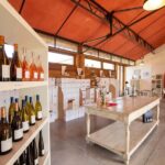 Mèze: Domaine Saint André Vineyard Guided Tour with Tasting - Starting at the Heart of the Vineyard in Mèze