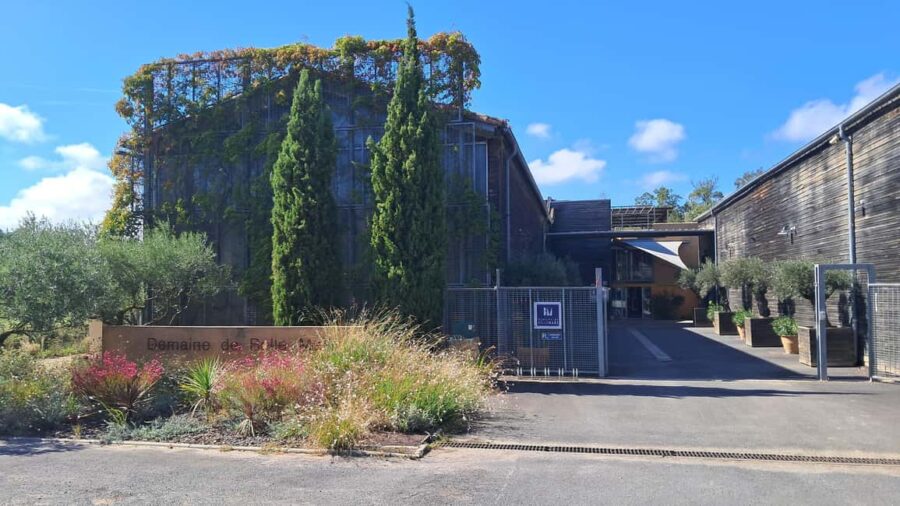 Mèze: Guided Tour of the Estate & Wine Tasting - Visiting the Vineyards in Mèze