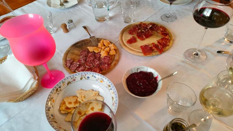 Mezzocorona: Teroldego Vineyard Tour and Wine Tasting - The Guided Walk to the Vineyards