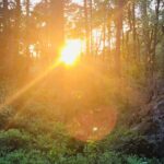 Midnight Sun and Campfire - National Park evening hike Stockholm - Watching the Sunset and the Midnight Sun in the Forest