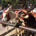 Mijas: Private Walking Tour - Admiring the Iconic Andalusian Architecture and Colorful Details