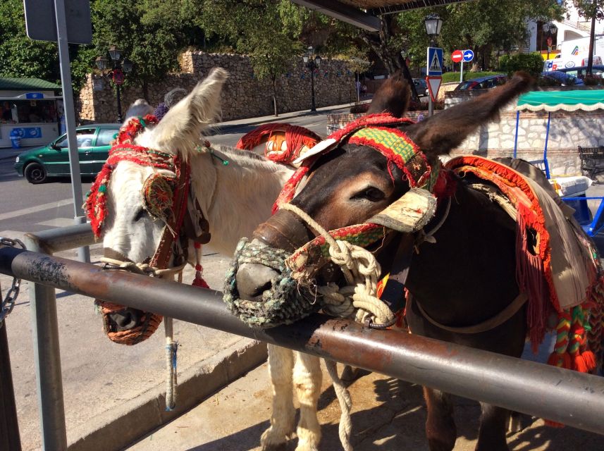 Mijas: Private Walking Tour - Admiring the Iconic Andalusian Architecture and Colorful Details