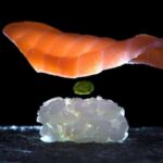 Milan: Sushi Tasting Experience with Wine - Hot Dishes Add Warmth and Contrast