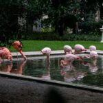 Milans Secret Side  A Walking Tour Off the Beaten Track - Starting at Piazza San Fedele in the Heart of Milan