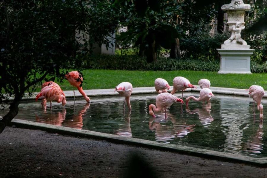 Milans Secret Side A Walking Tour Off the Beaten Track - Starting at Piazza San Fedele in the Heart of Milan