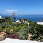 Mini Cruise to Panarea and Stromboli from Milazzo port - Discovering Panarea: The Glamorous Old Town and Beaches