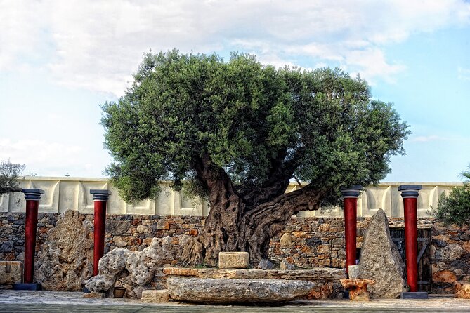 Minoan Day Experience - Sampling Minoan Flavors Before the Show