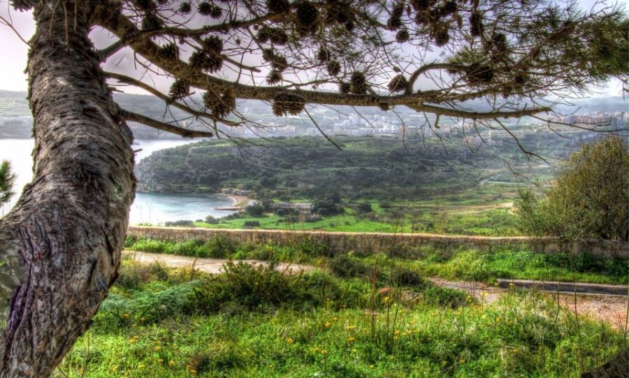 Mistra Valley and Selmun Private Nature Tour with Transport - From Hotel Pickup to the Northeast Coast of Malta