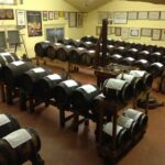 Modena: Balsamic Vinegar Cellar Tour, Tasting & Food Pairing - Overview of the Balsamic Vinegar Family Villa in Modena