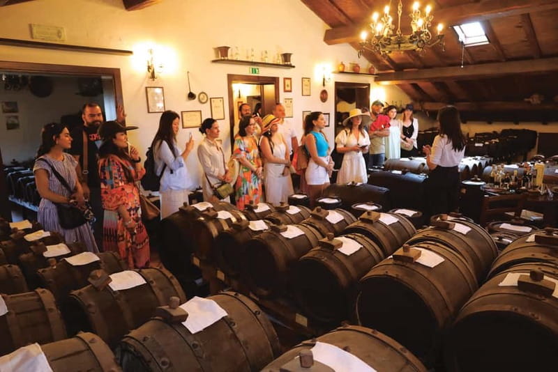 MODENA: BALSAMIC VINEGAR TOUR AND TASTING - TYPICAL - Visiting the Historic Acetaia in Modena