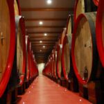 Modena Food:Prosciutto,Parmigiano,Balsamic,Wine,Lunch,Transport - The Lunch Experience and Beverages Included