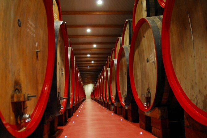 Modena Food:Prosciutto,Parmigiano,Balsamic,Wine,Lunch,Transport - The Lunch Experience and Beverages Included