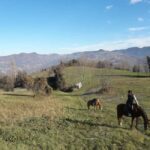Modena: Horseback Riding Tour in the Apennines - Starting Point in Serramazzoni for Horseback Adventure