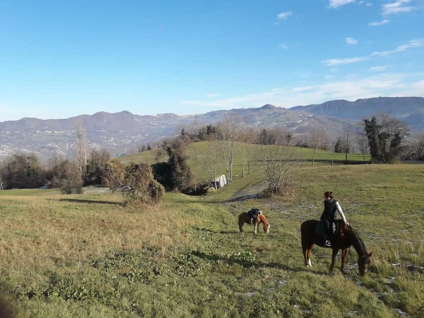 Modena: Horseback Riding Tour in the Apennines - Starting Point in Serramazzoni for Horseback Adventure