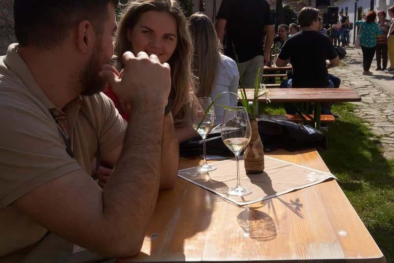 Modra: Private wine tasting guided by winery owner - A Personal Guide with Deep Knowledge of Slovakian Wine