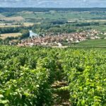 Moet et Chandon Pommery Pressoria Champagne Private trip - Guided Cellar Tours at Moët et Chandon