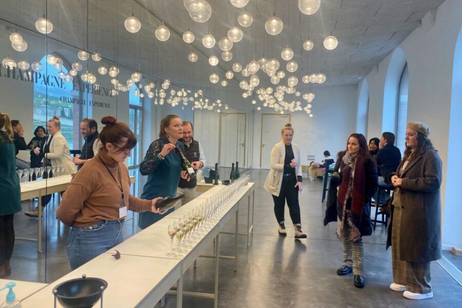 Moet et Chandon Pommery Pressoria Champagne Private trip - Moët & Chandon’s Cellar Tours and Tastings