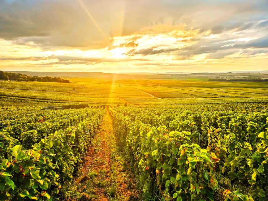 Moet et Chandon Tasting and Fun Private Tour in Champagne - Starting Point and Transportation: Reims Hotel Pickup and Private Van