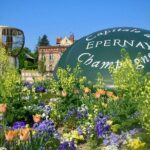 Moet et Chandon Veuve Clicquot Pommery Private Champagne Day trip - Touring Champagnes Legendary Houses: Moet et Chandon