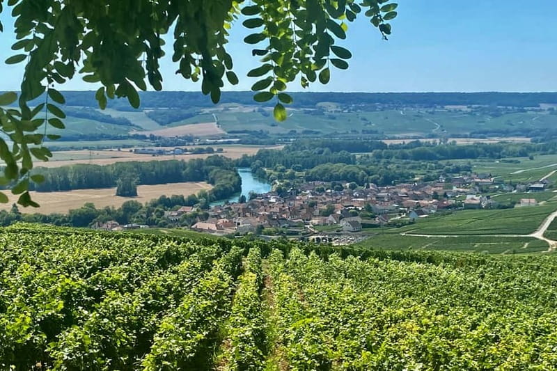 Moet et Chandon Veuve Clicquot Pommery Private Champagne - Visiting Moët et Chandon: The World’s Largest Champagne Producer