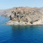 Mogan: Dolphin Watching Boat Trip with Swim Stop - Food, Drinks, and Onboard Amenities