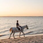Moita: Private Horseback Riding On The Beach At Sunset - A Scenic Ride Through Forests and Nature Reserves