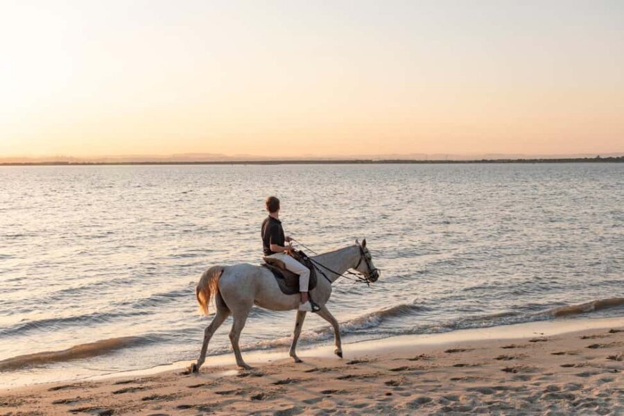 Moita: Private Horseback Riding On The Beach At Sunset - A Scenic Ride Through Forests and Nature Reserves