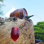 Moldova: Wine tour to Miletii Mici cellar with Tasting - Scenic Drive from Chiinu to Miletii Mici