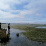 Moliceiro boat tour through the Ria de Aveiro! - What Makes the Moliceiro Boat Unique in Aveiro