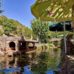 Monchique: Highlights Tour - Visiting a Local Honey and Medronho Producer