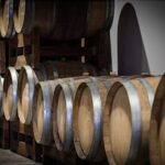 Monferrato: Barbera Wine Tasting Experience - Explore the Historic Estate and Vineyard Landscape