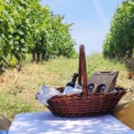 Monferrato: Garetto Wine Estate Tour and Picnic Private - Discover the Monferrato Landscape and UNESCO Heritage Status