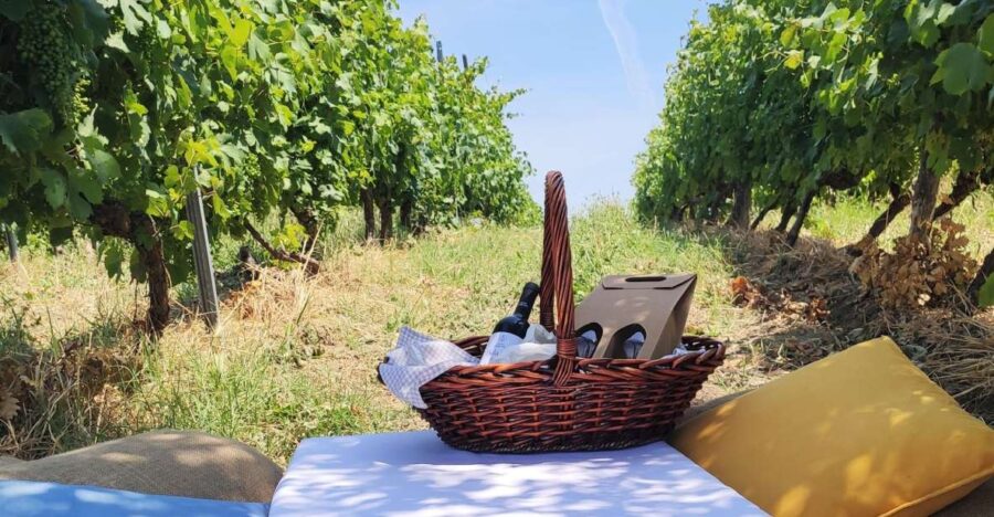 Monferrato: Garetto Wine Estate Tour and Picnic Private - Discover the Monferrato Landscape and UNESCO Heritage Status