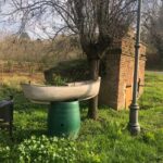 Monferrato: Guided hike to discover the secrets among hills and colors - The Poetic Symbolism of the Colorful Boats in the Hills