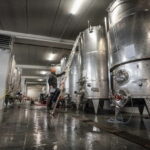 Monforte d'Alba: 7 glasses of Langhe with visit to Winery and Vineyards - Starting Point at Podere Gagliassi in Monforte dAlba