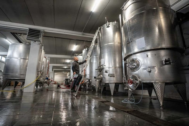 Monforte d'Alba: 7 glasses of Langhe with visit to Winery and Vineyards - Starting Point at Podere Gagliassi in Monforte dAlba