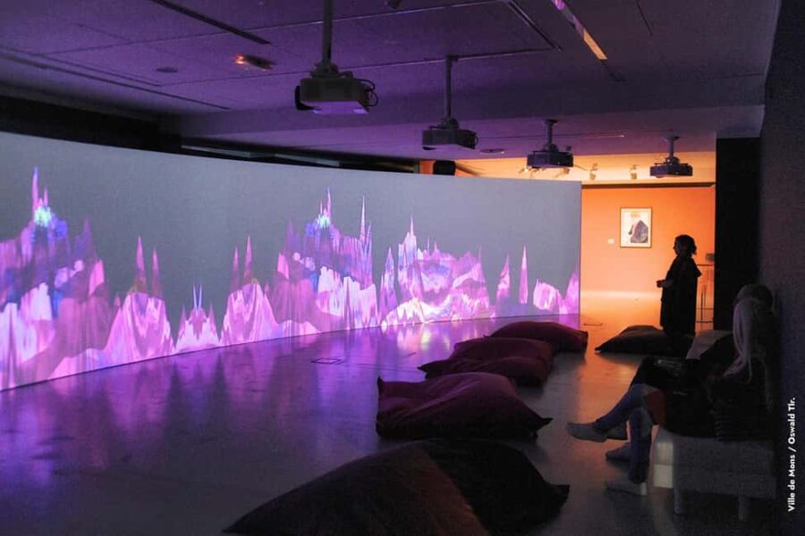 Mons: Guided tour of the "David Hockney. The Song of the Earth" - Starting Point at the CAP in Mons