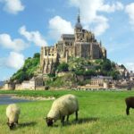 Mont-Saint-Michel: Private Guided Tour with Tasting from Paris - How the Tour Leaves From Paris to Normandy