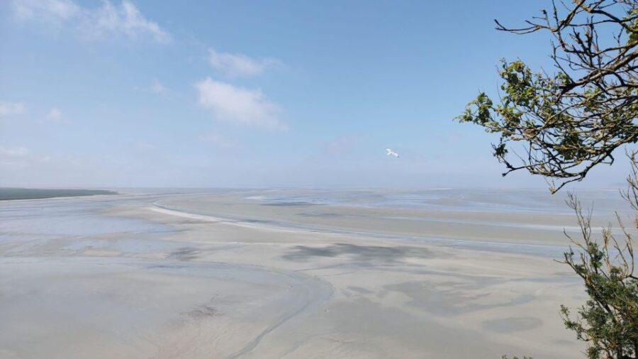 Mont-St-Michel: Small Group Guided Tour with Abbey Ticket - Starting at 10 Grande Rue in Normandy