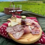 Montalcino: exclusive vineyard picnic with wine - A Unique Picnic in the Montalcino Vineyards