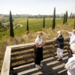 Montalcino: Guided Winery Tour and Wine Tasting - Starting Point at Corte Pavone Winery in Montalcino