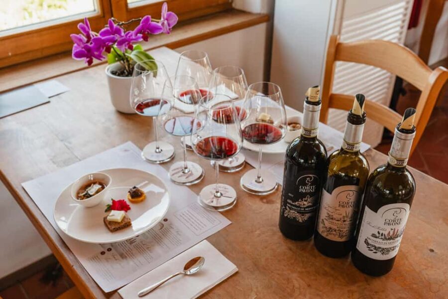 Montalcino: Guided Winery Tour & Gourmet Food Tasting - From the Vineyard to the Cellar: A Deep Dive into Winemaking