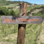 Montalcino: Molino Winery Tour & Wine Tasting - Visiting Molino di Sant’Antimo: An Authentic Tuscan Winery