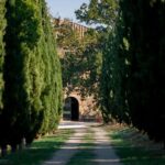 Montalcino: Vertical Tasting - The Winemaking Heritage: Brunello, CRU, and Natural Wines