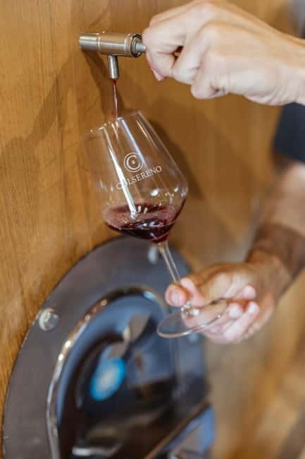 Montalcino: Wine Tasting and Tuscan Lunch - Exploring the Montalcino Winery and Cellar