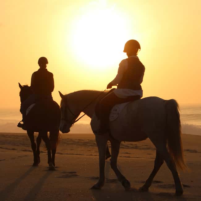 Monte Cabanas do Mar: Private Horseback Ride to the Beach - Scenic Ride from the Farm to Portugal’s Coastline