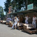 Monte Palace Tropical Garden Tour - Optional Thrilling Toboggan Ride Down the Mountain