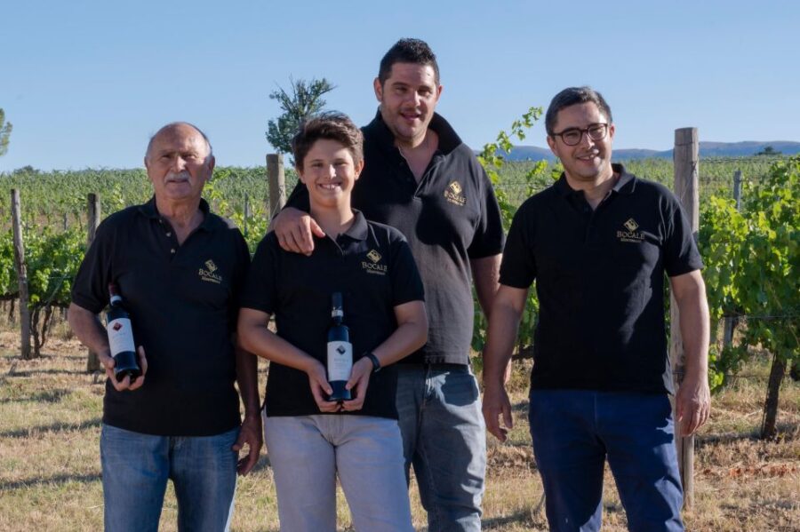 Montefalco: Winery and Vineyard Tour and Private Tasting - Visiting the Vineyard and Vinification Rooms