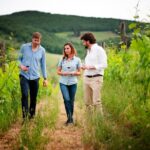 Montefioralle Winery - Tour and Wine Tasting in Chianti - What to Expect on Your Visit to Montefioralle Winery